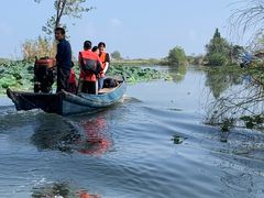-洪湖生态旅游区