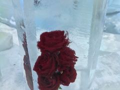 -广州热雪奇迹