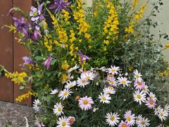 -杭州西湖银泰百货