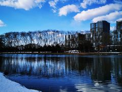 -大兴滨河森林公园