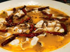 -青花椒花椒鱼(合生汇店)