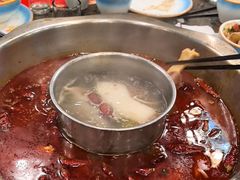 -金鼎雪山牦牛杂火锅(理县总店)