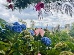 -昆明春城湖畔度假村