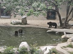 -石家庄市动物园