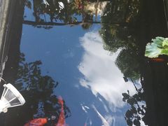 -老洋房花园饭店(绍兴路店)