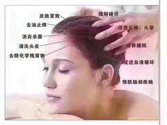 -北京饭店谭家菜