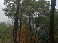 -回头食客-李久其家民间餐厅(望城金桥国际店)