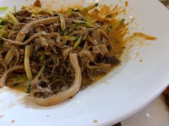 -大眼锅贴饺子(河西店)
