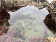 -摩拉基大圆石
