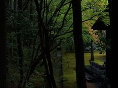-法云安缦酒店