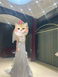 -韩国天使嫁衣婚纱礼服馆(上海旗舰店)