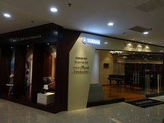 -知音艺术教育培训·钢琴培训·音乐培训(河西金鹰世界校区)