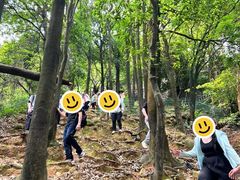 -火炉山森林公园