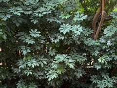 -金稼园·金平湖农家菜