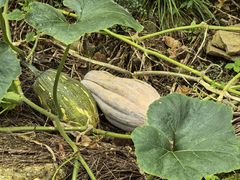 -仙海旅游度假区