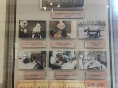 -北京动物园-畅观楼