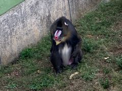 -大连森林动物园