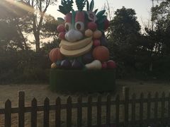 -上海都市菜园