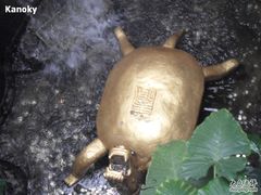 -汴河街