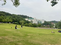 -仙林宾馆-餐厅