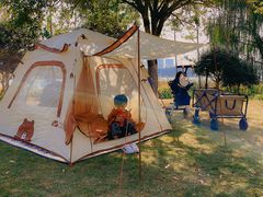 -洋湖国家湿地公园