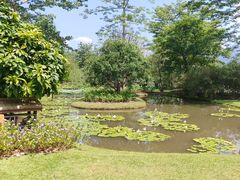 -西双版纳傣族园