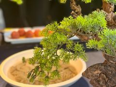 荔枝虾球-蜀大侠·侠客印象(园林博物馆店)