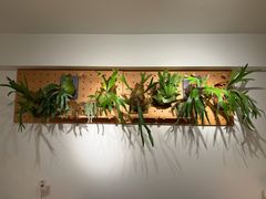 -1861意大利餐厅(来福士店)