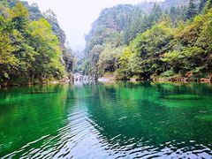 -石台牯牛降景区
