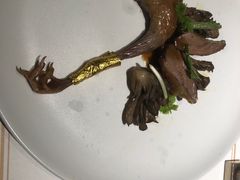 -觀芷隐轩