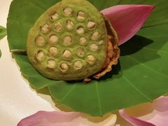 -叶叶菩提(太原别墅店)