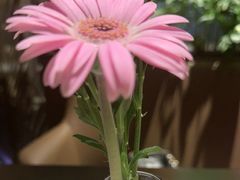 -半秋山西餐厅(巴南万达广场店)