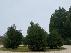 -天祥斋老北京八大碗烧烤家常菜(田村店)