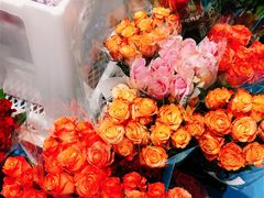 -盒马X会员店(上海森兰商都店)