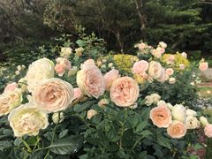 -人民公园(罗湖区)