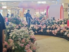 -上海长风大悦城