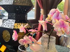 -翡翠鸟精品泰国菜(北辰财富中心店)