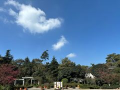 -南山植物园