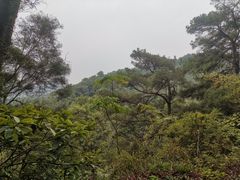 -三门江国家森林公园