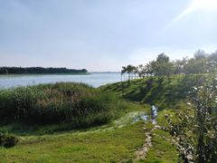 -丁香湖公园
