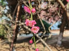 -白塘生态植物园
