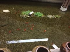 -几荷·恰似故人来(秀水广场店)