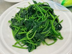 -姚林轩