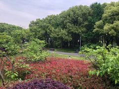 -潮府馆·非遗潮州菜·世纪公园(新国际博览中心店)