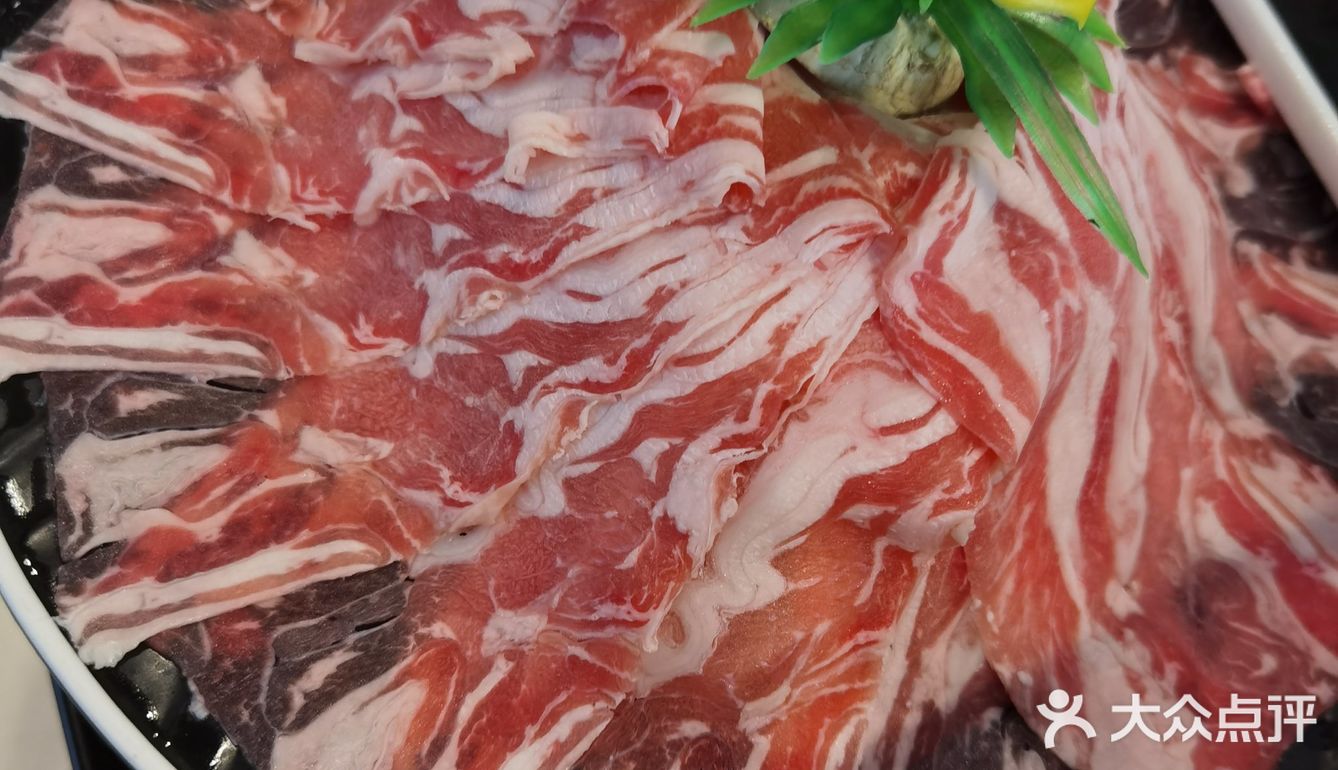来到协信星光里的小公牛牛肉火锅店,首先被盆栽多肉而吸