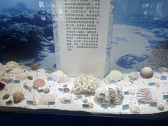 -温州博物馆