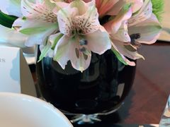 -Social 秀西餐厅-长沙瑞吉酒店(运达店)