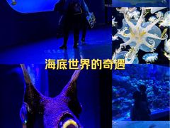 -太平洋海底世界