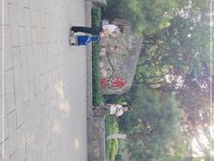 -莲湖公园