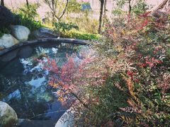 -七彩云南古滇温泉山庄